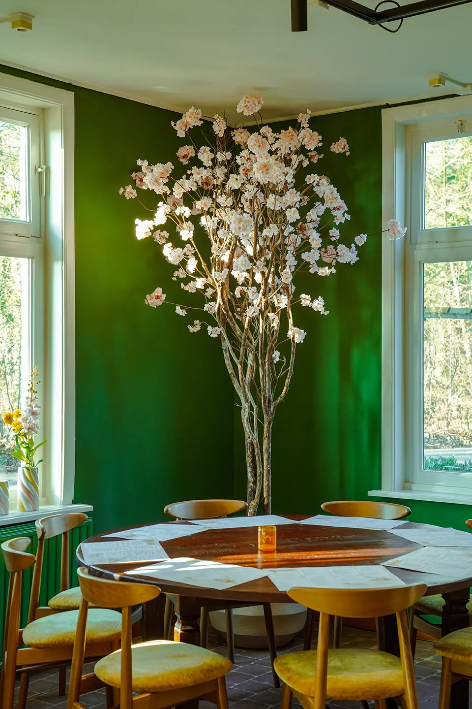 Ronde tafel met stoelen onder een grote bloesemboom bij het raam