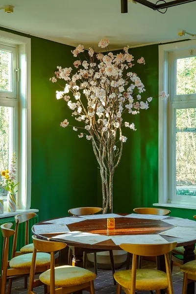 Ronde tafel met stoelen onder een grote bloesemboom bij het raam