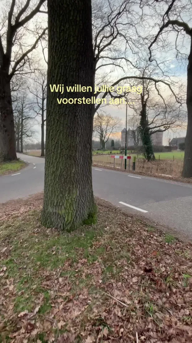 TikTok-video van Pluis, 159.8K weergaven